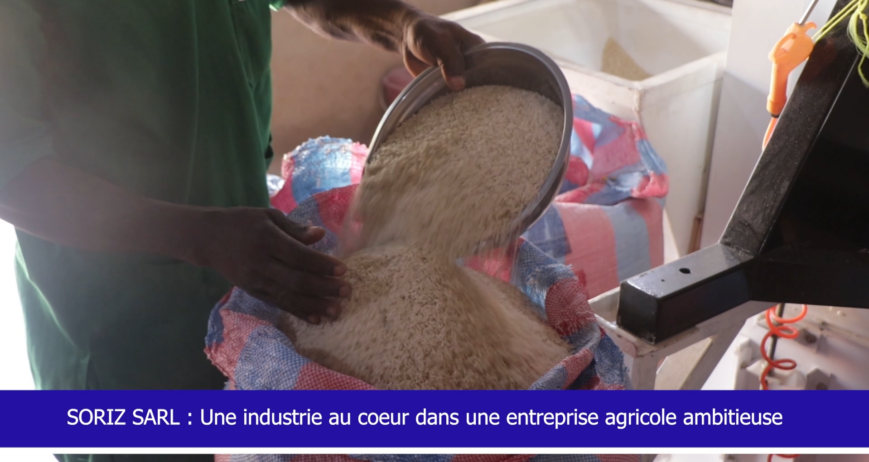 SORIZ SARL : une industrie au service d’une agriculture béninoise en pleine mutation