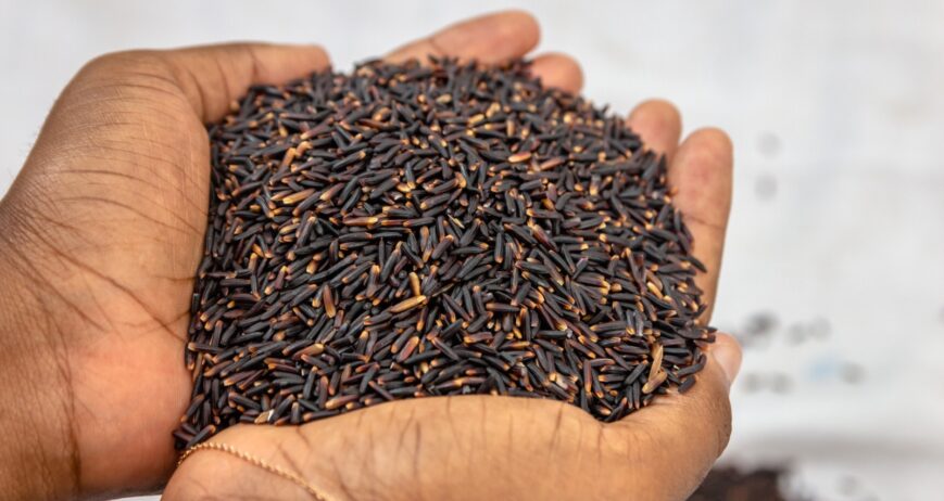 Et si vous découvriez une autre façon de manger le riz ?