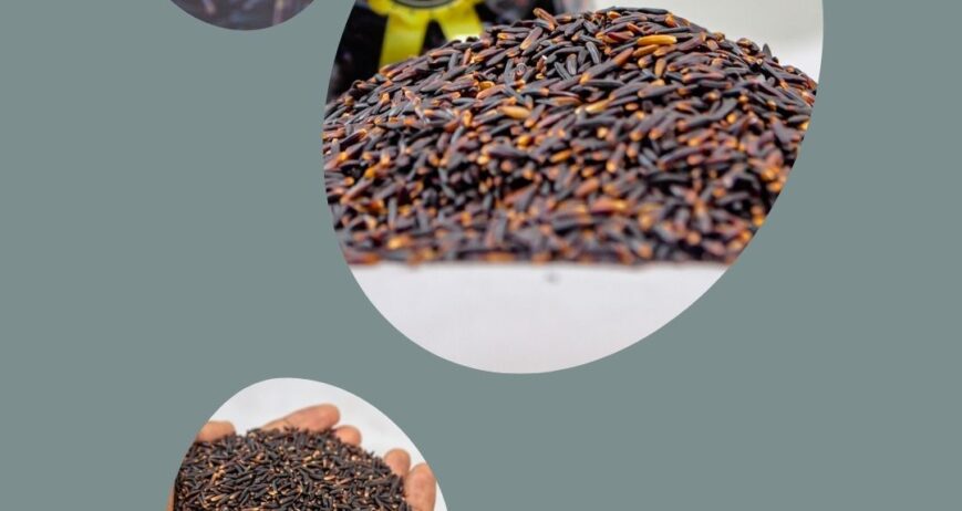 SORIZ, le choix de la qualité dans votre assiette.